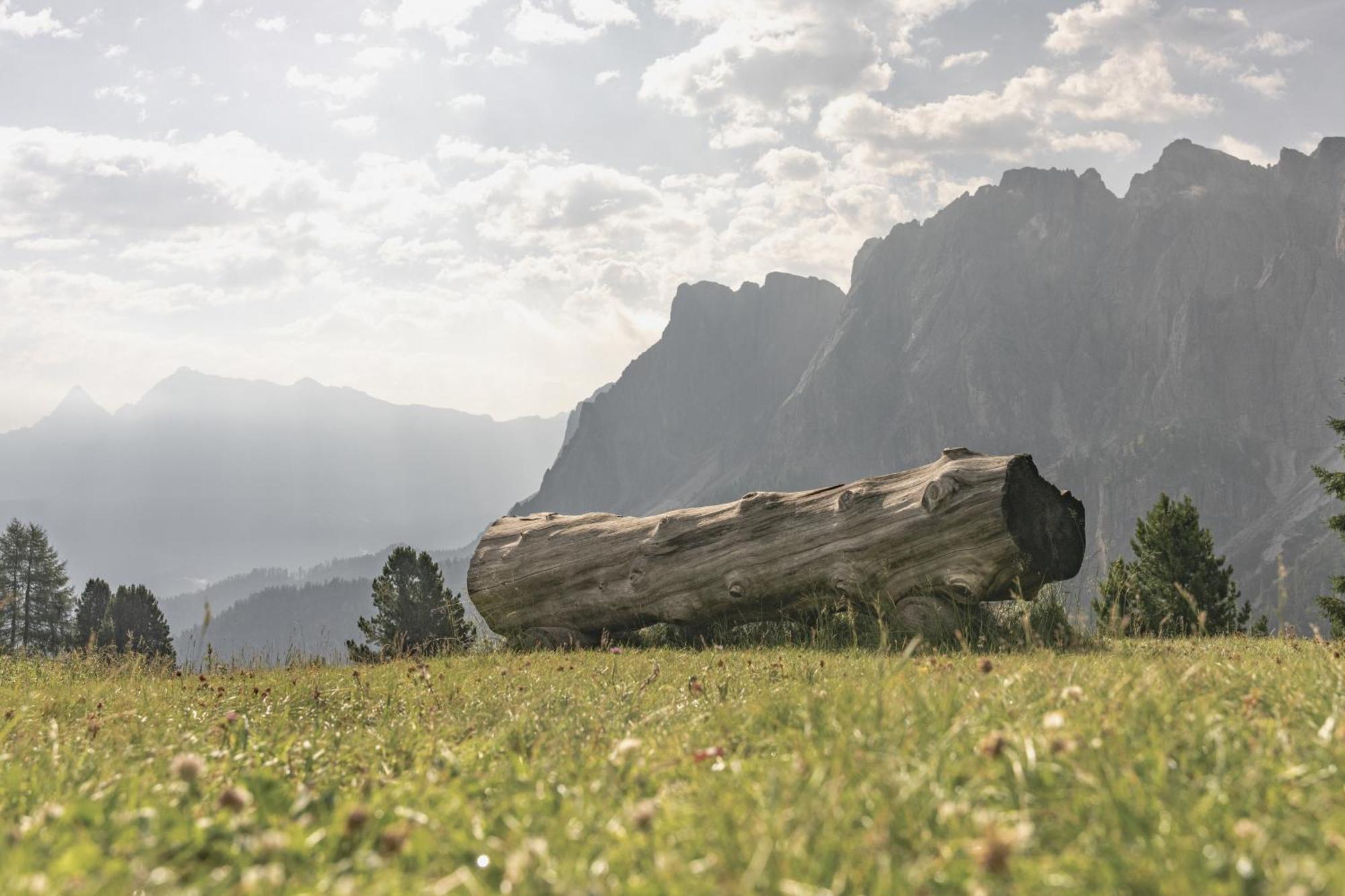 Ciasa Iachin - Dolomites Dream Retreat Apartman San Martino in Badia Kültér fotó
