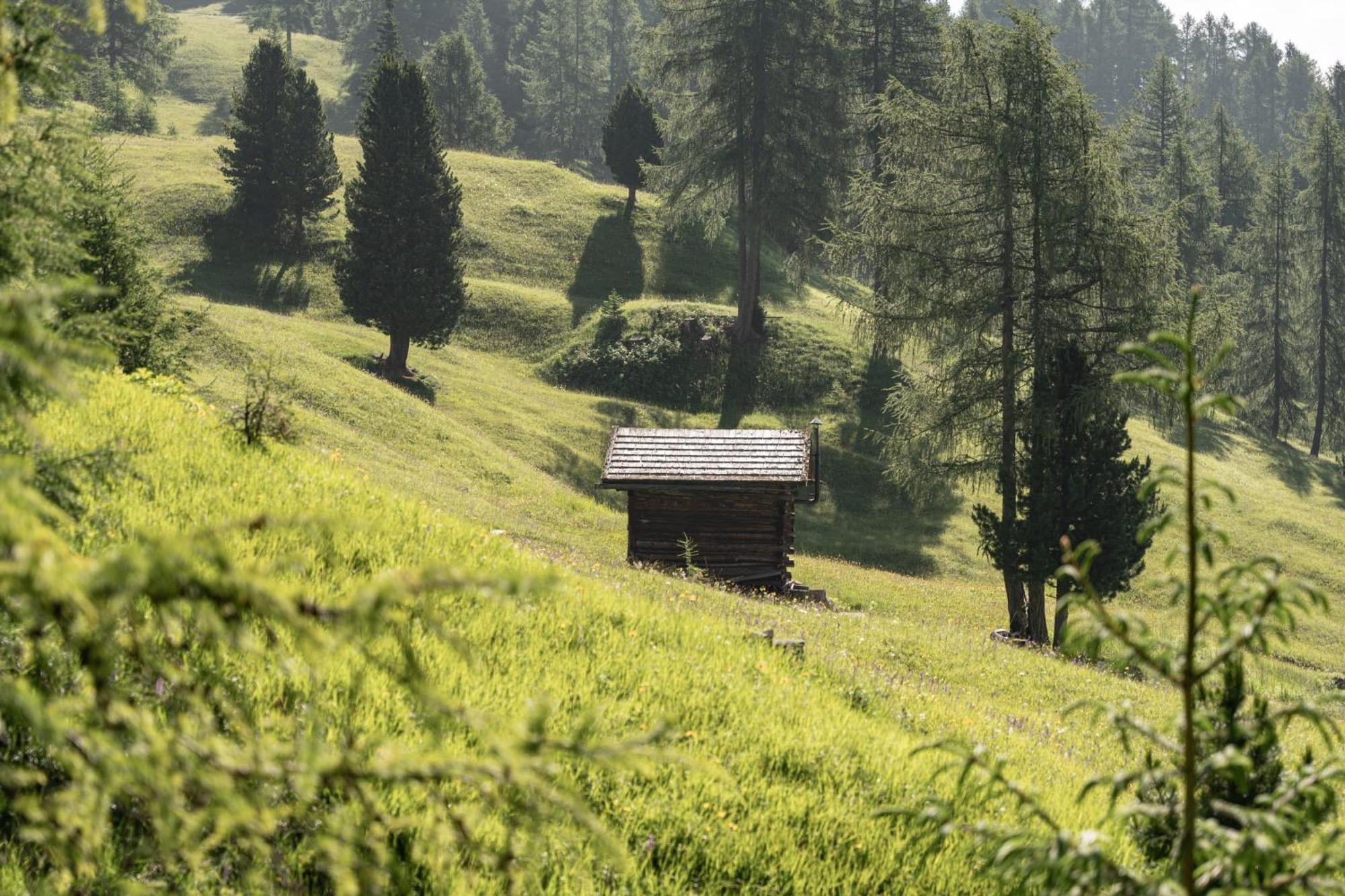 Ciasa Iachin - Dolomites Dream Retreat Apartman San Martino in Badia Kültér fotó