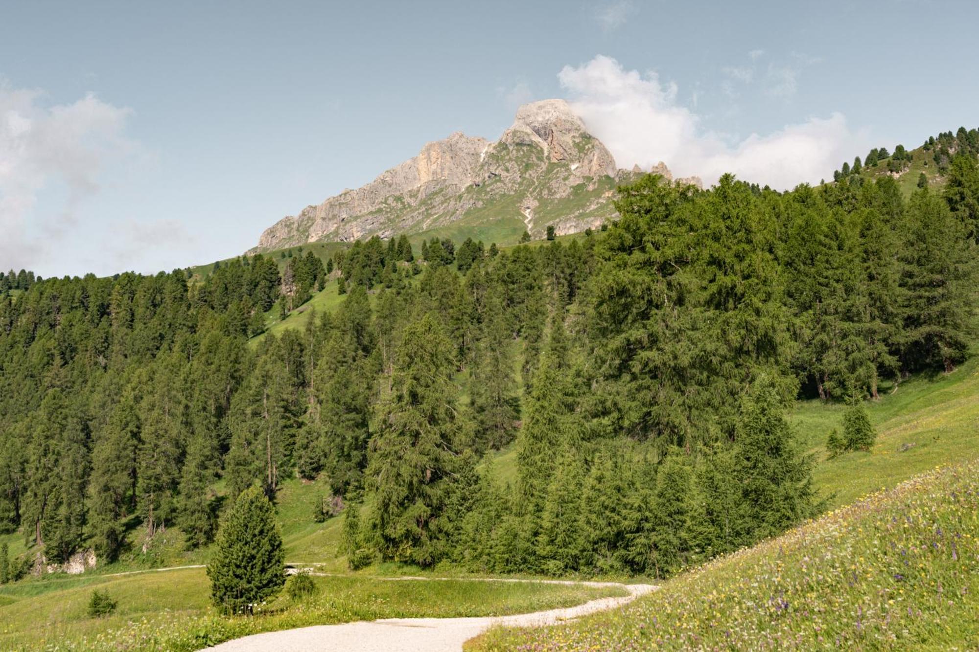 Ciasa Iachin - Dolomites Dream Retreat Apartman San Martino in Badia Kültér fotó