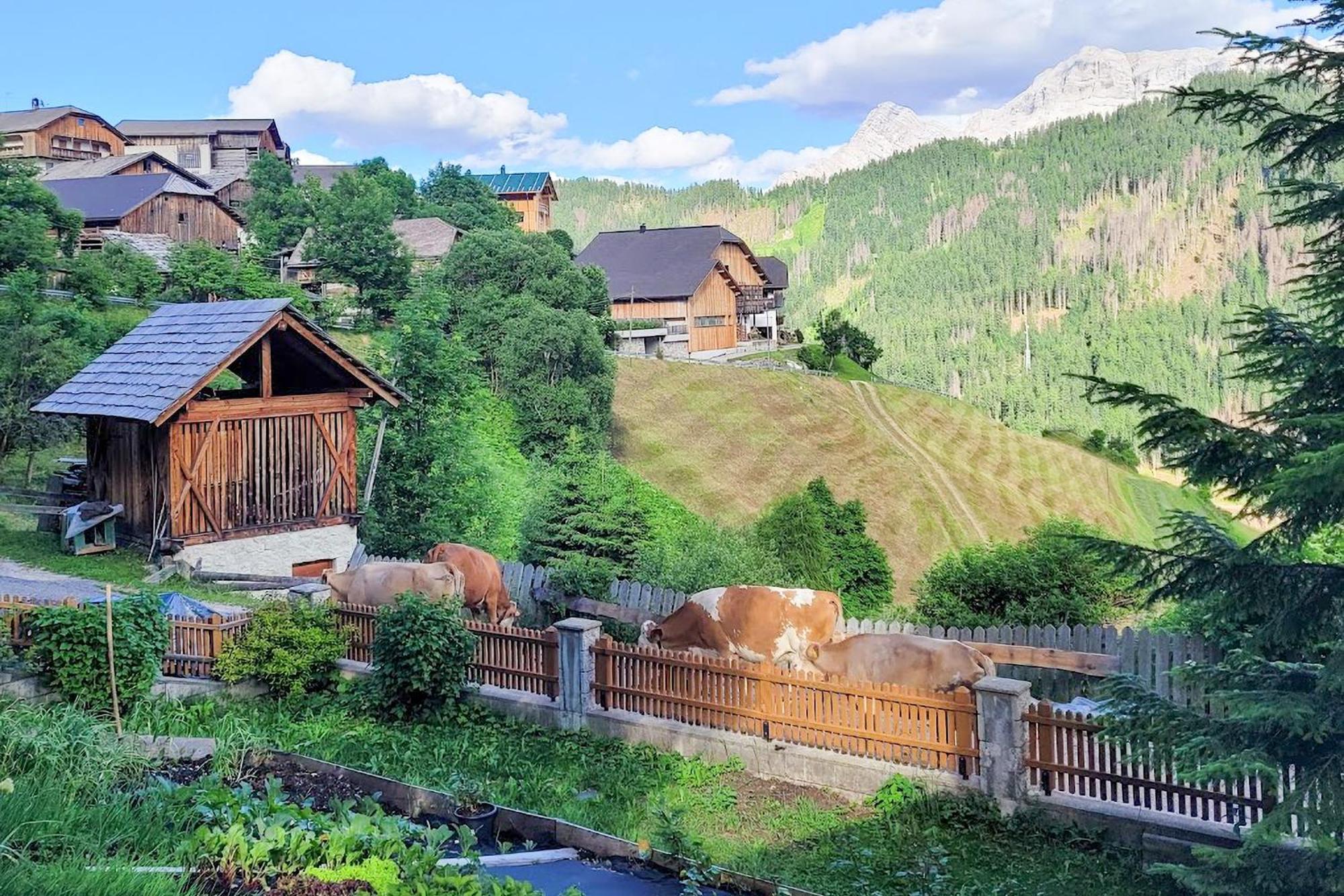 Ciasa Iachin - Dolomites Dream Retreat Apartman San Martino in Badia Kültér fotó