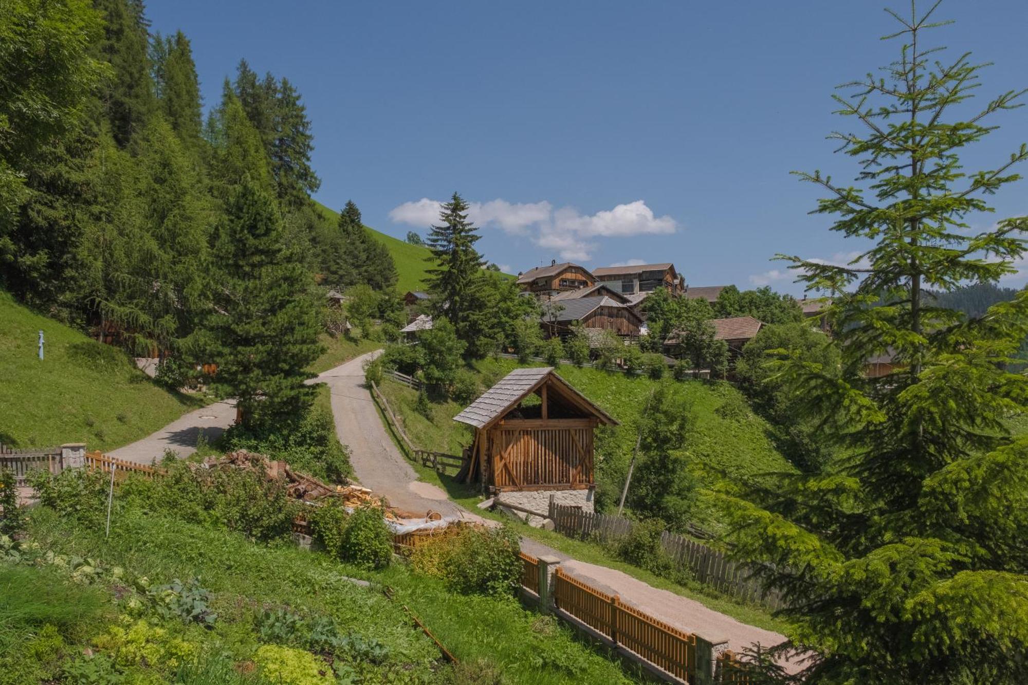 Ciasa Iachin - Dolomites Dream Retreat Apartman San Martino in Badia Kültér fotó