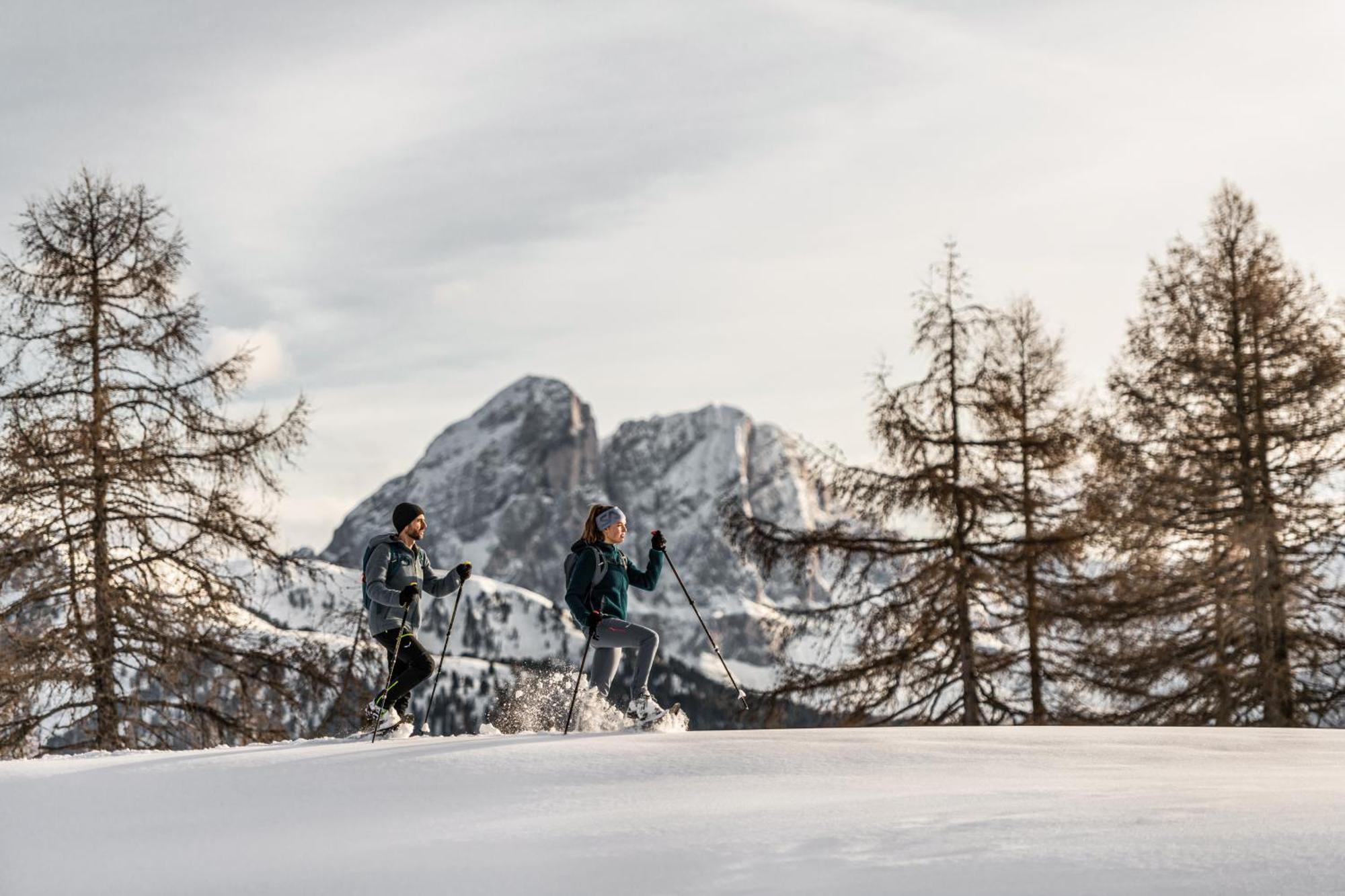 Ciasa Iachin - Dolomites Dream Retreat Apartman San Martino in Badia Kültér fotó