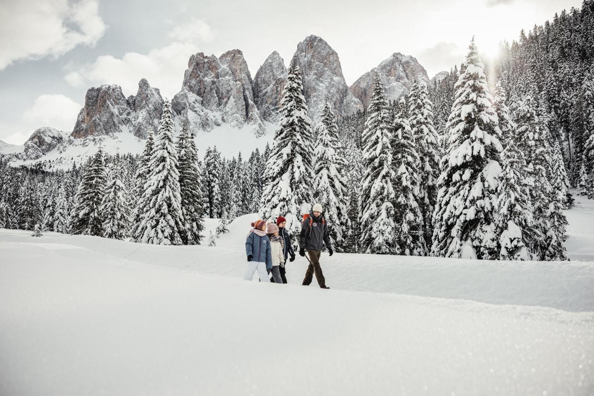 Ciasa Iachin - Dolomites Dream Retreat Apartman San Martino in Badia Kültér fotó